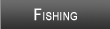 Lake Michigan Fishing